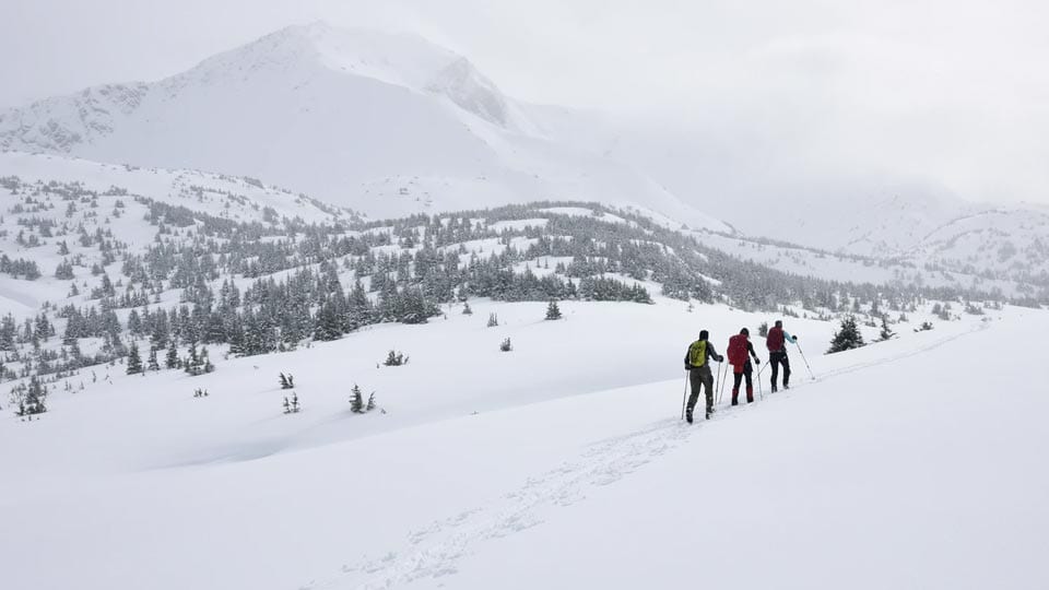 Three backcountry skiers